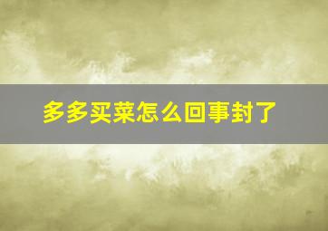 多多买菜怎么回事封了