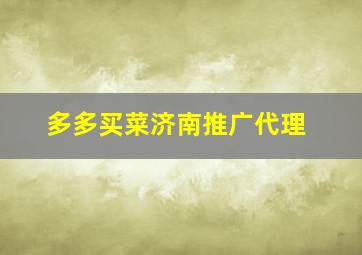 多多买菜济南推广代理