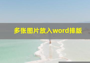 多张图片放入word排版