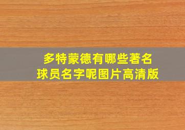 多特蒙德有哪些著名球员名字呢图片高清版