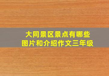 大同景区景点有哪些图片和介绍作文三年级