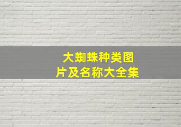 大蜘蛛种类图片及名称大全集