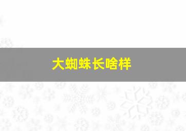 大蜘蛛长啥样