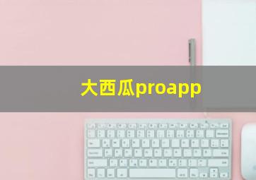 大西瓜proapp