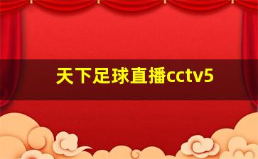 天下足球直播cctv5