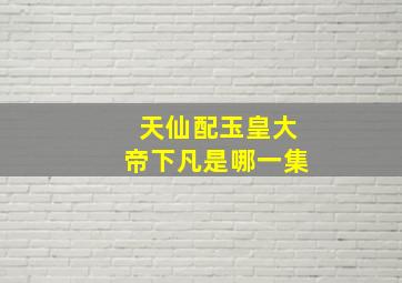 天仙配玉皇大帝下凡是哪一集