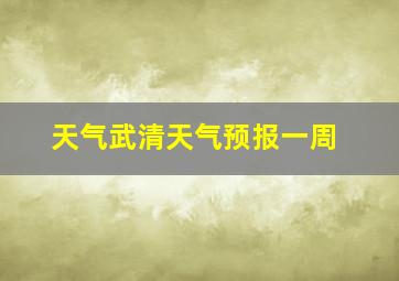 天气武清天气预报一周