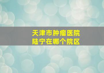 天津市肿瘤医院陆宁在哪个院区