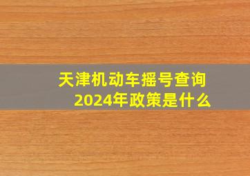 天津机动车摇号查询2024年政策是什么