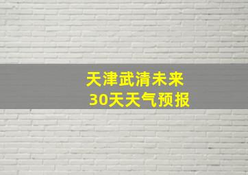 天津武清未来30天天气预报