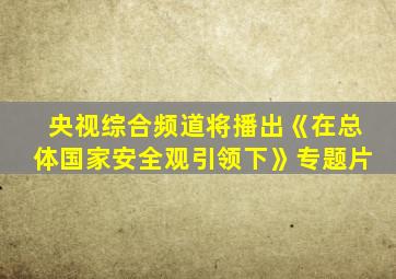 央视综合频道将播出《在总体国家安全观引领下》专题片