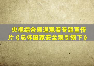 央视综合频道观看专题宣传片《总体国家安全观引领下》