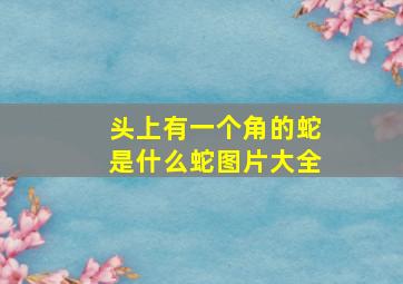 头上有一个角的蛇是什么蛇图片大全