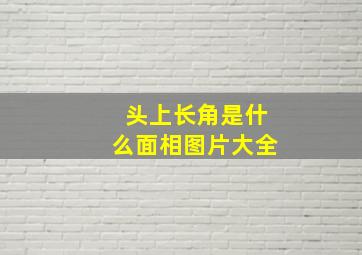 头上长角是什么面相图片大全