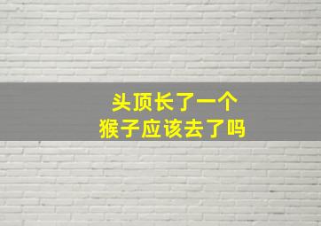 头顶长了一个猴子应该去了吗