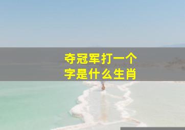 夺冠军打一个字是什么生肖