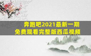 奔跑吧2021最新一期免费观看完整版西瓜视频