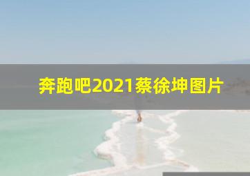 奔跑吧2021蔡徐坤图片