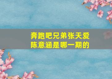 奔跑吧兄弟张天爱陈意涵是哪一期的