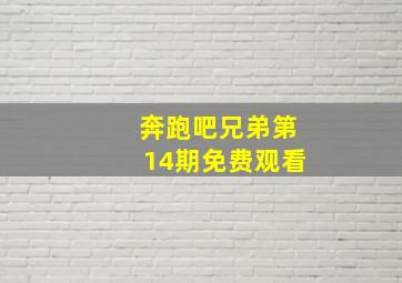 奔跑吧兄弟第14期免费观看