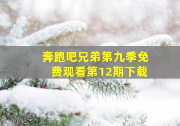 奔跑吧兄弟第九季免费观看第12期下载