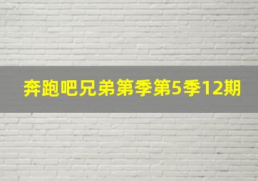 奔跑吧兄弟第季第5季12期