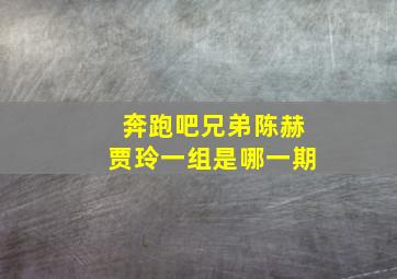 奔跑吧兄弟陈赫贾玲一组是哪一期