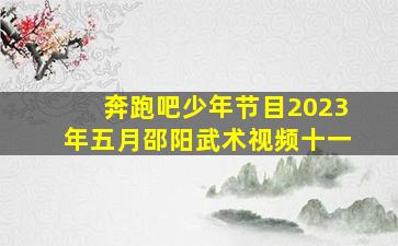 奔跑吧少年节目2023年五月邵阳武术视频十一