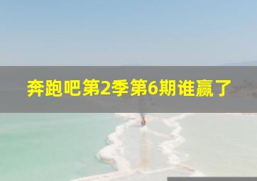 奔跑吧第2季第6期谁赢了