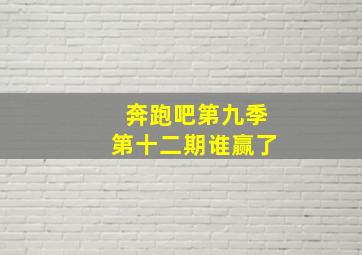 奔跑吧第九季第十二期谁赢了