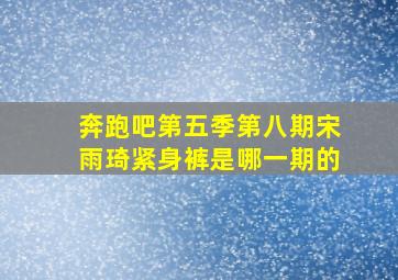 奔跑吧第五季第八期宋雨琦紧身裤是哪一期的