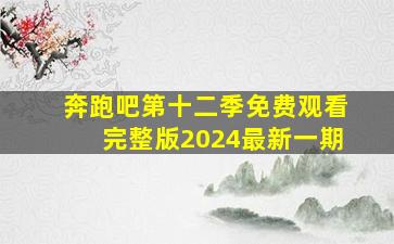 奔跑吧第十二季免费观看完整版2024最新一期