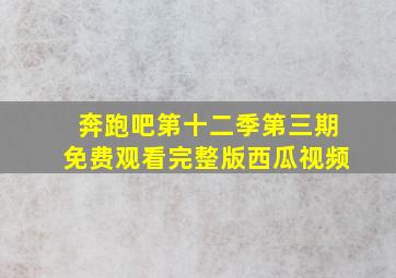 奔跑吧第十二季第三期免费观看完整版西瓜视频