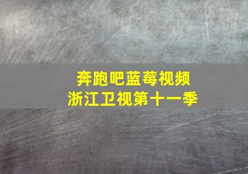 奔跑吧蓝莓视频浙江卫视第十一季