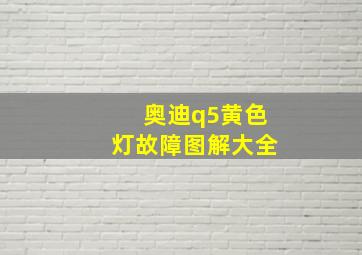 奥迪q5黄色灯故障图解大全