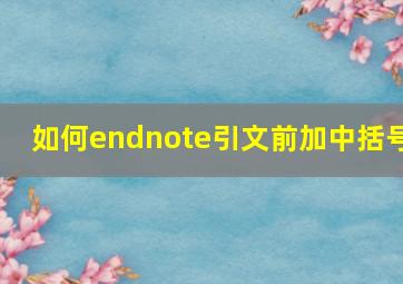 如何endnote引文前加中括号