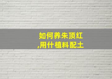 如何养朱顶红,用什植料配土