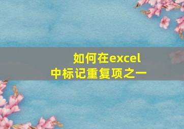 如何在excel中标记重复项之一