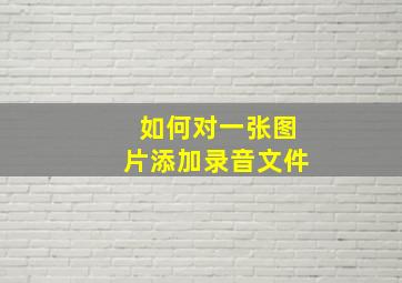 如何对一张图片添加录音文件