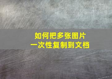 如何把多张图片一次性复制到文档