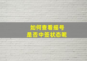 如何查看摇号是否中签状态呢