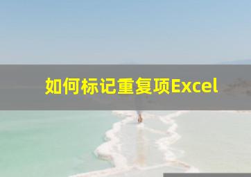 如何标记重复项Excel