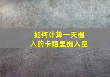 如何计算一天摄入的卡路里摄入量