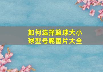 如何选择篮球大小球型号呢图片大全