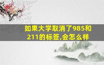 如果大学取消了985和211的标签,会怎么样