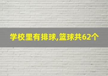 学校里有排球,篮球共62个