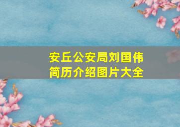 安丘公安局刘国伟简历介绍图片大全