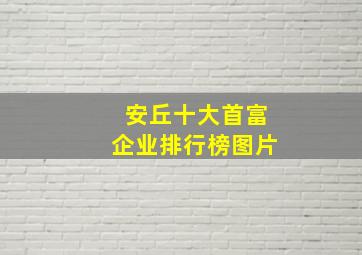 安丘十大首富企业排行榜图片