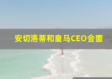 安切洛蒂和皇马CEO会面