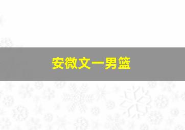 安微文一男篮